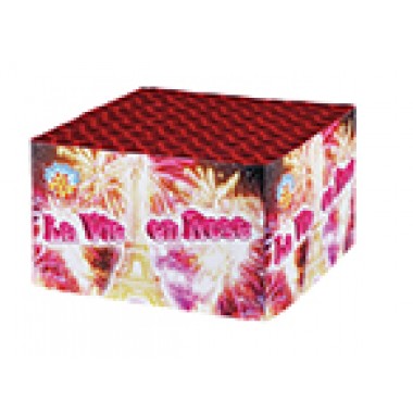 0938B LA VIE EN ROSE